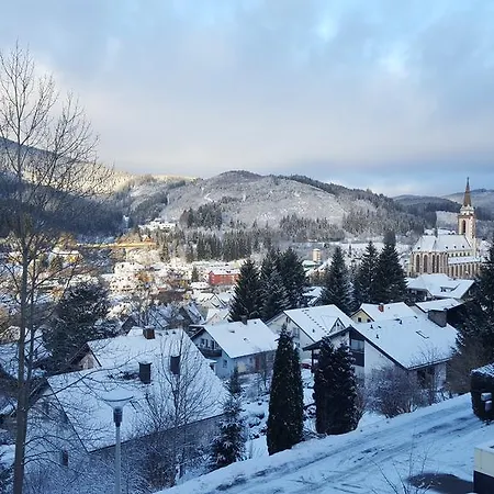 Apartmán Hochschwarzwald